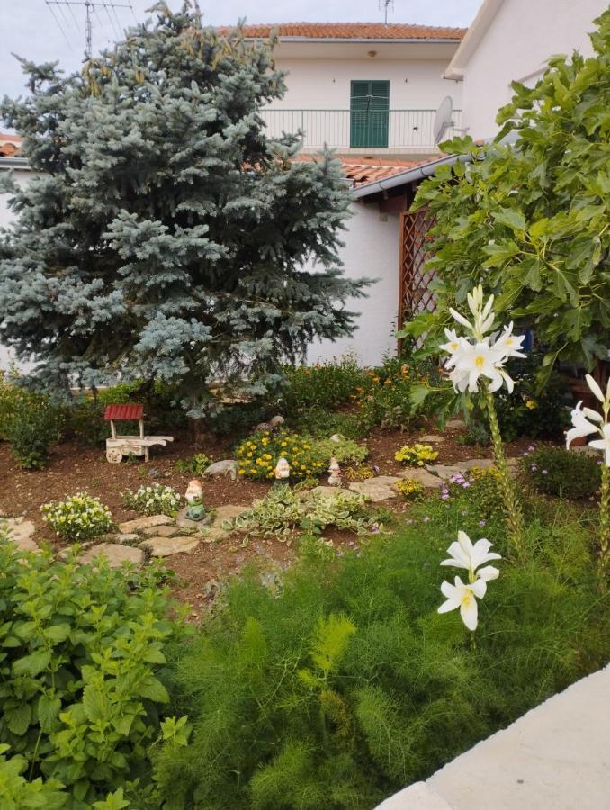 Apartmani Lucica Езера Экстерьер фото